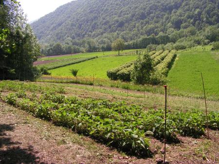  I Campi - Agricoltura Biologica L'Ostal 